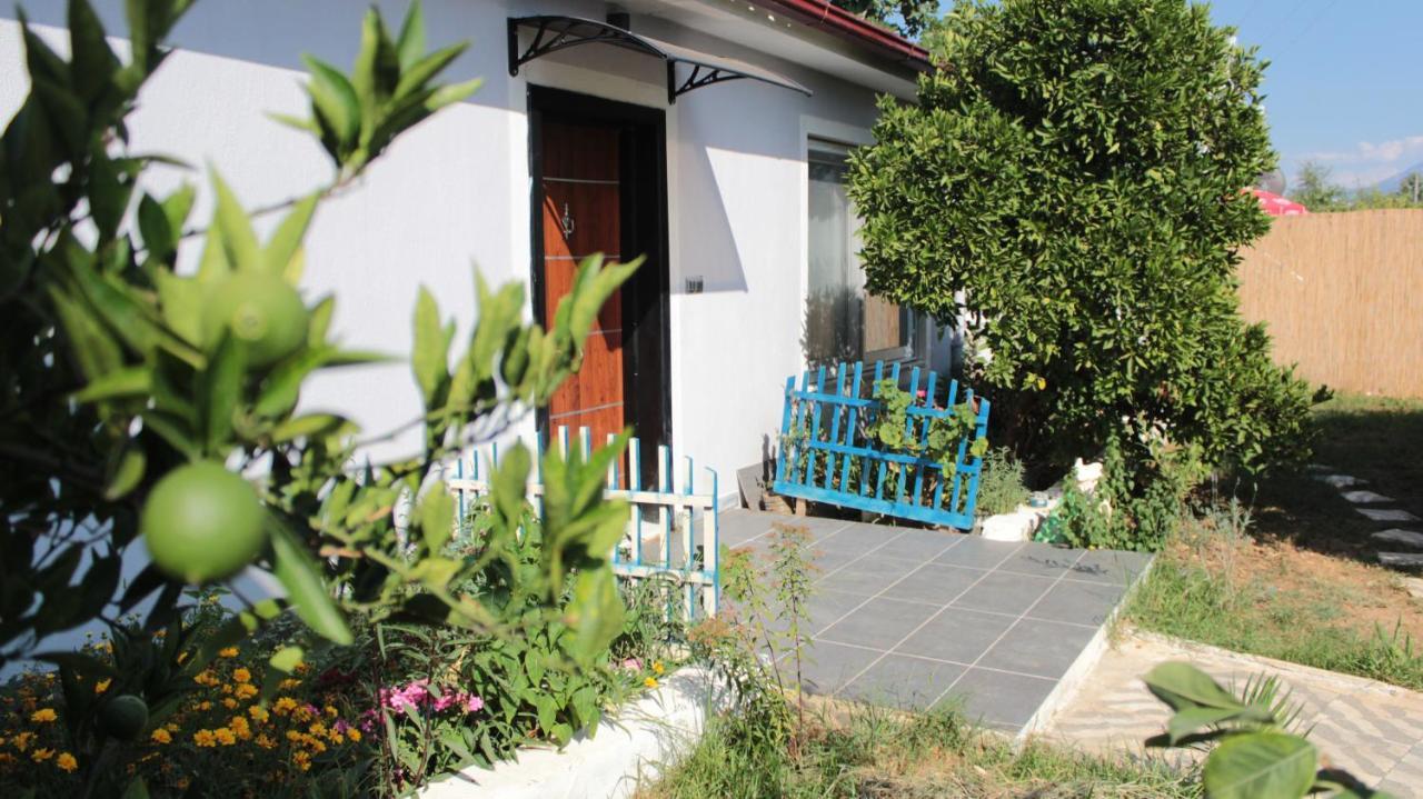 Holiday home Aloanda House