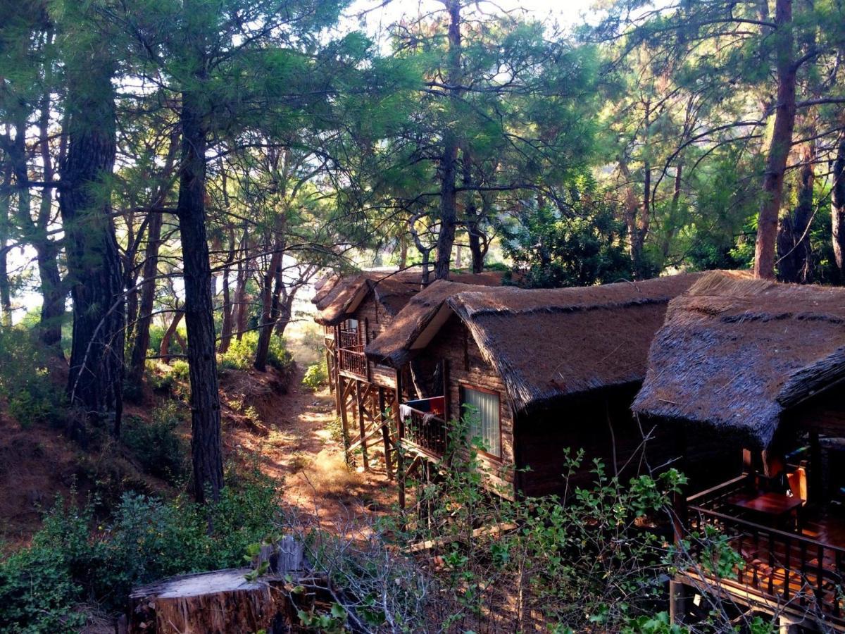 Aloanda House