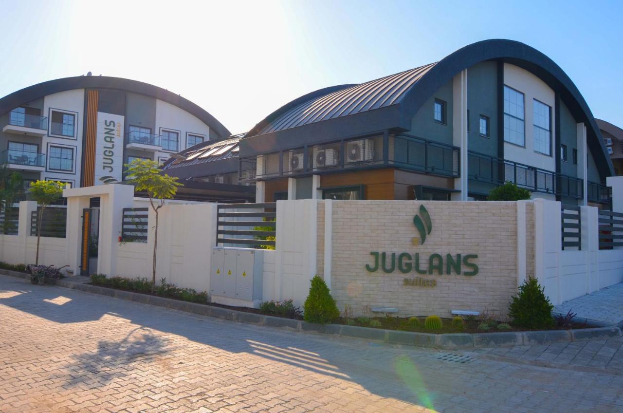 Juglans *