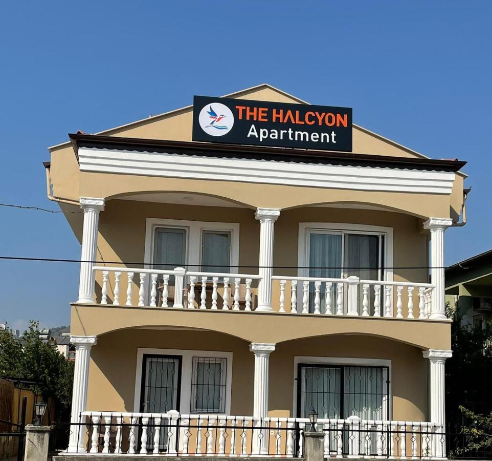 The Halcyon