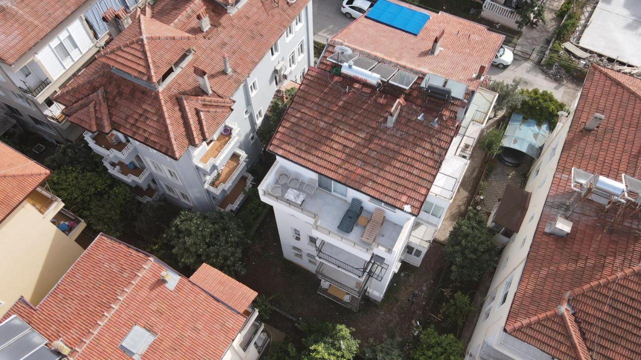 Apartment Mint Manor