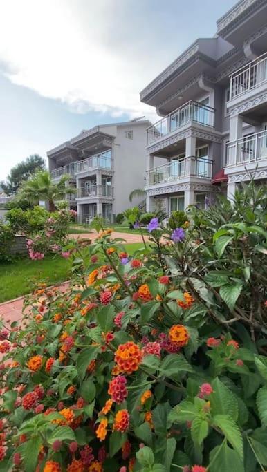 Daire Nokta Belcekiz Apart, Fethiye, Oeluedeniz *