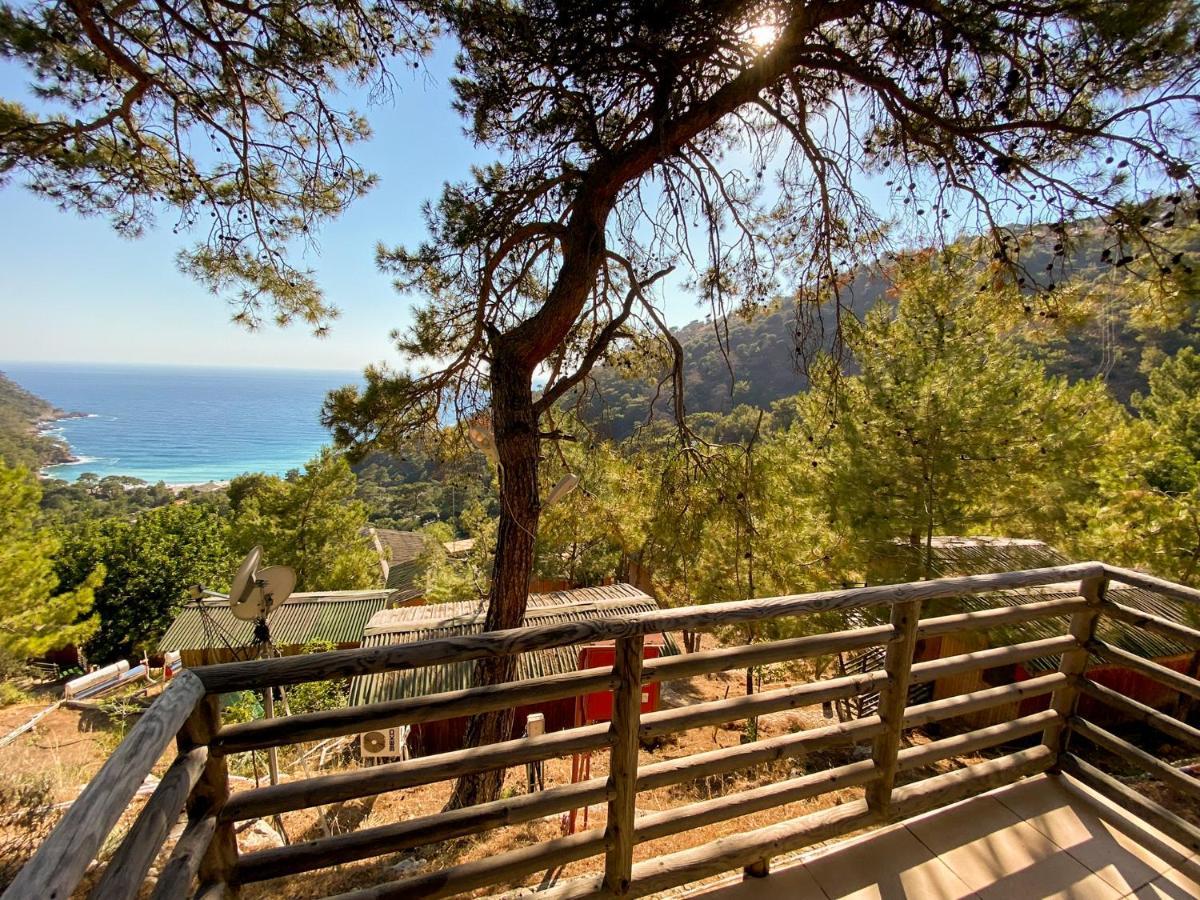 Tree Hotel Fethiye