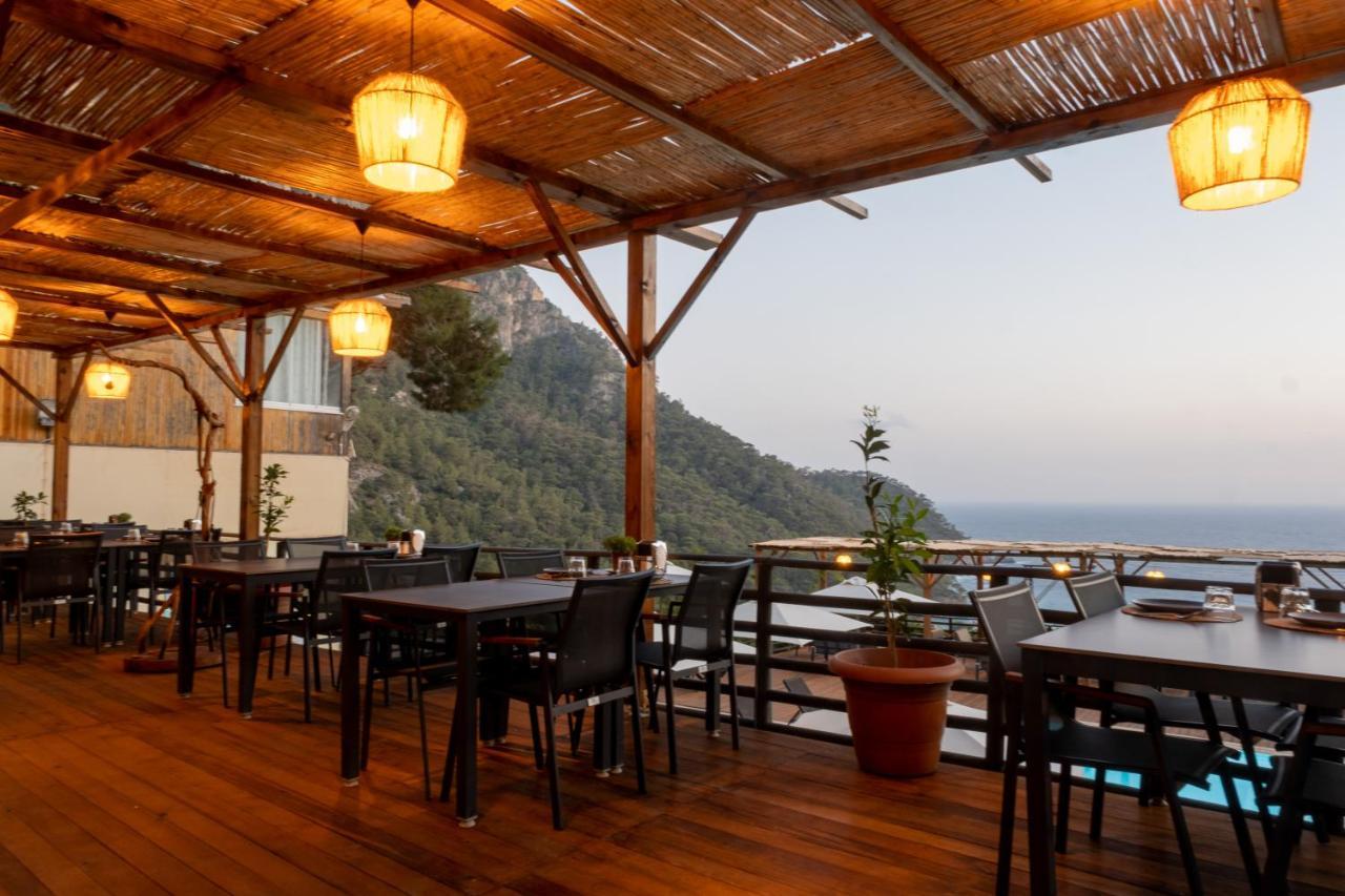 Tree Fethiye