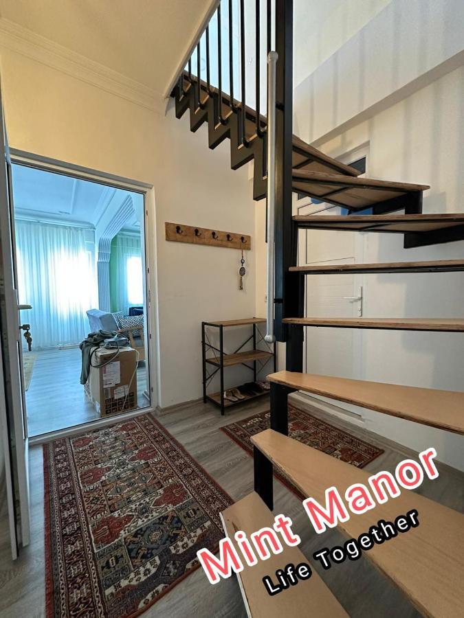 Mint Manor Apartment