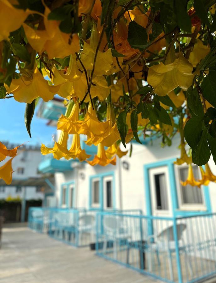 Bed & Breakfast Enjoy Hotel *