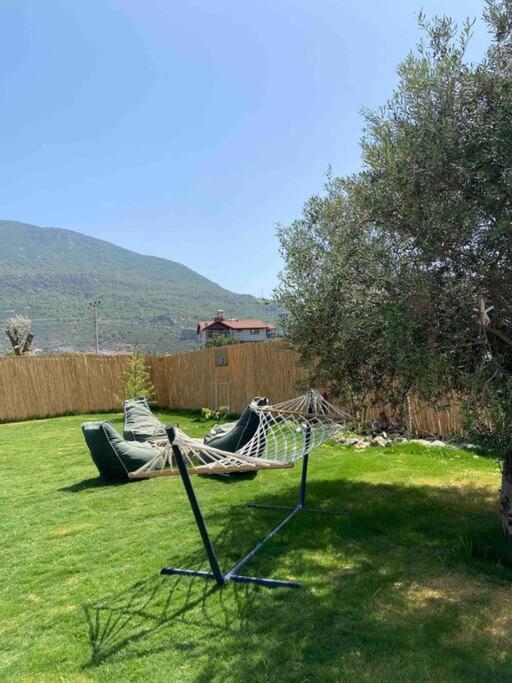 Aslan Denize Yakin Merkeze Yakin Villa