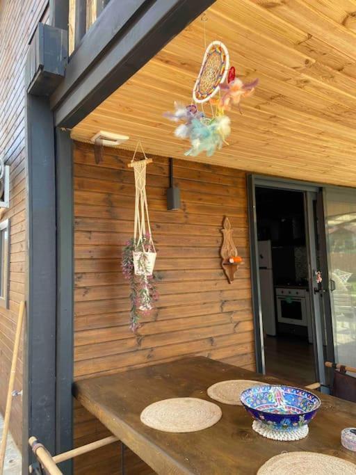 Aslan Denize Yakin Merkeze Yakin Villa