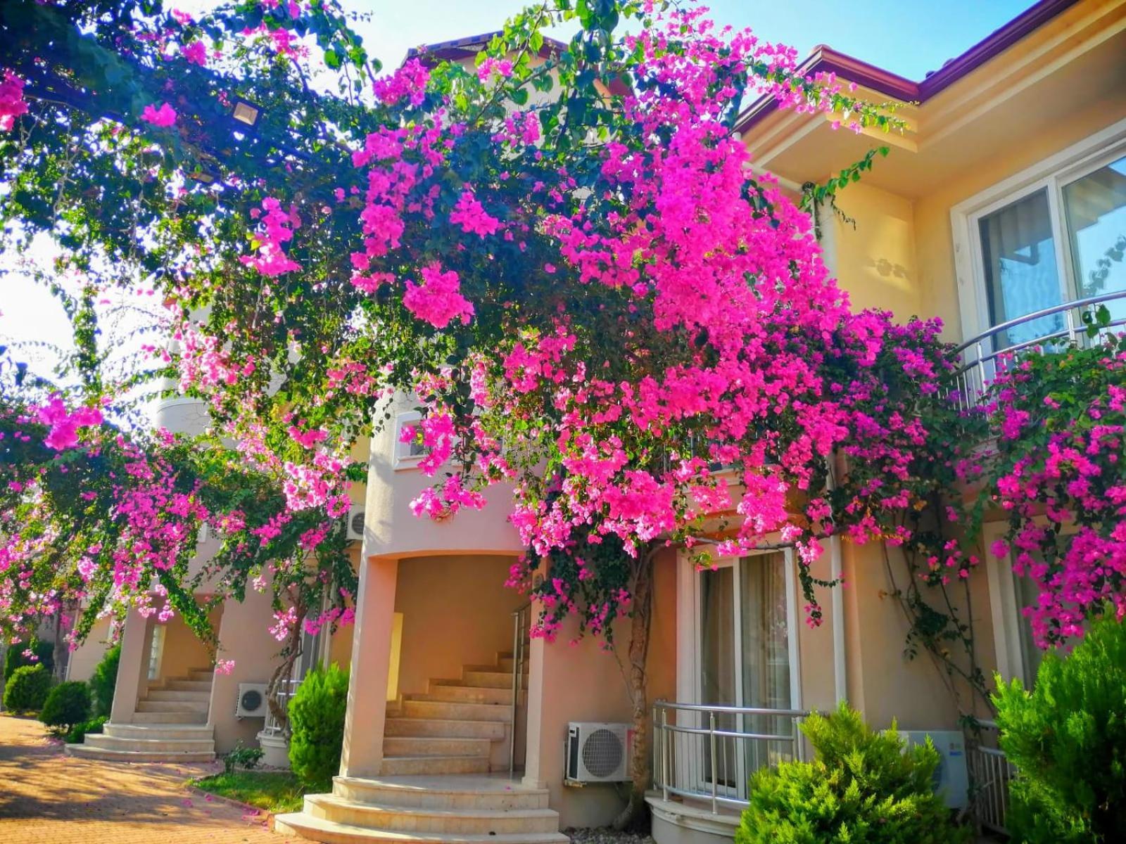 Sunset Club Apartment *
