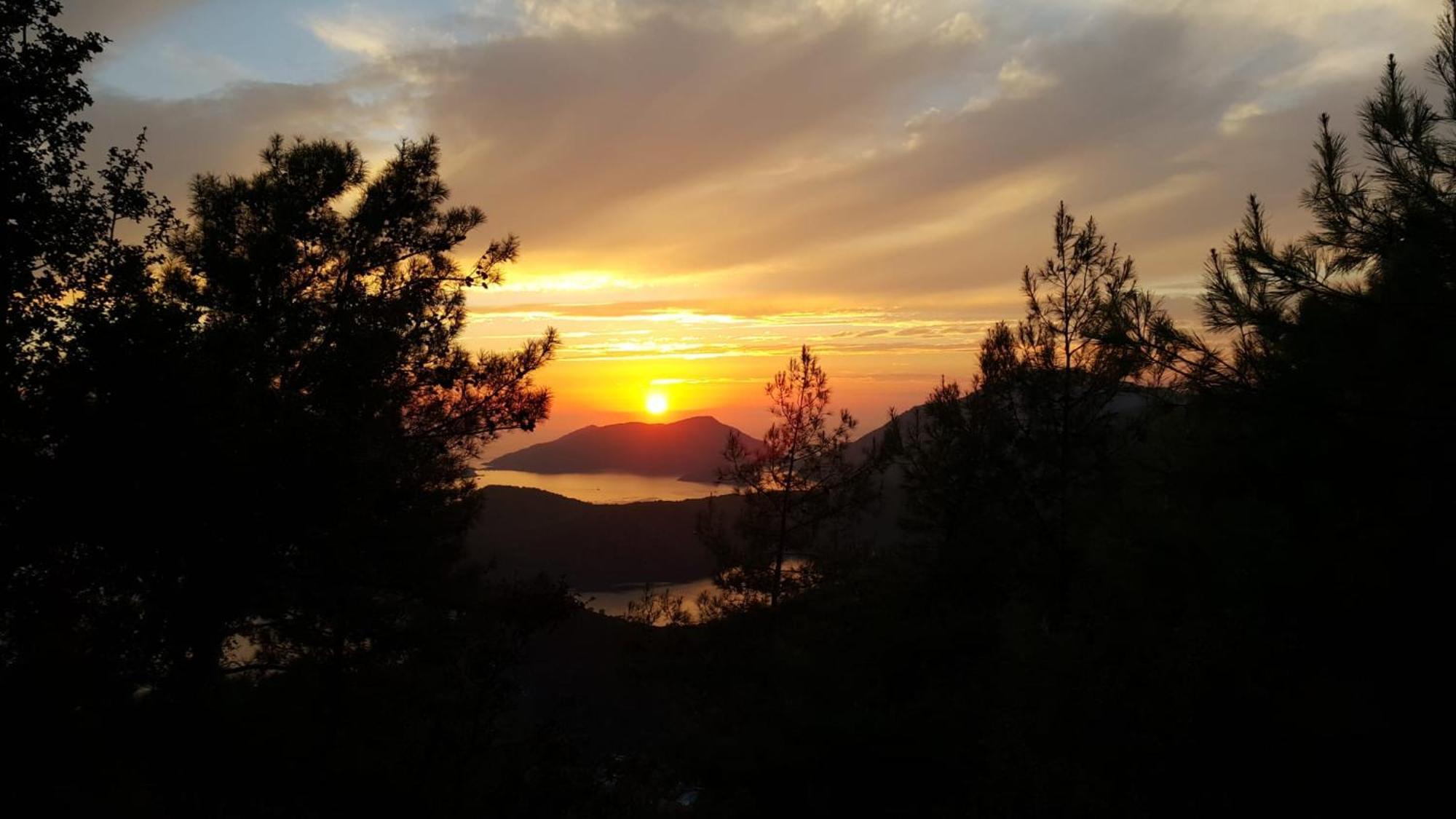 Dolphin Apartment Fethiye