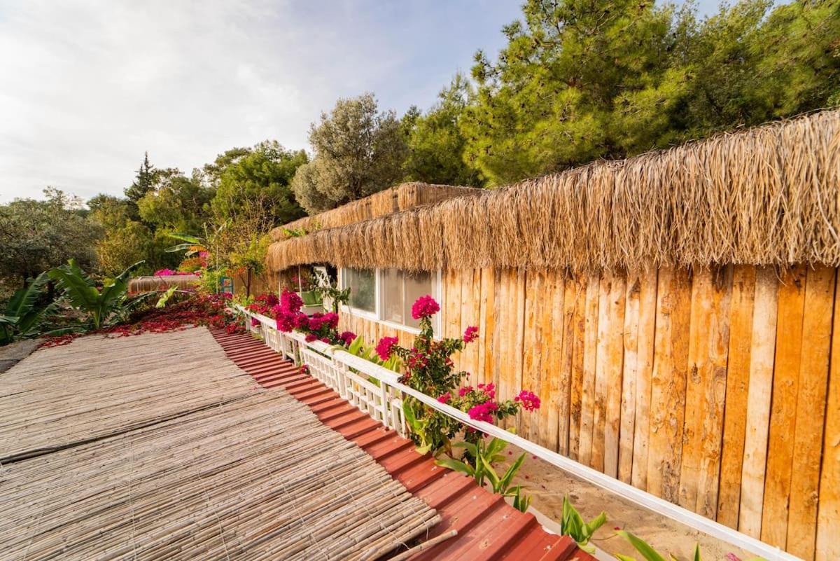 Begonvilla Bungalows Aparthotel
