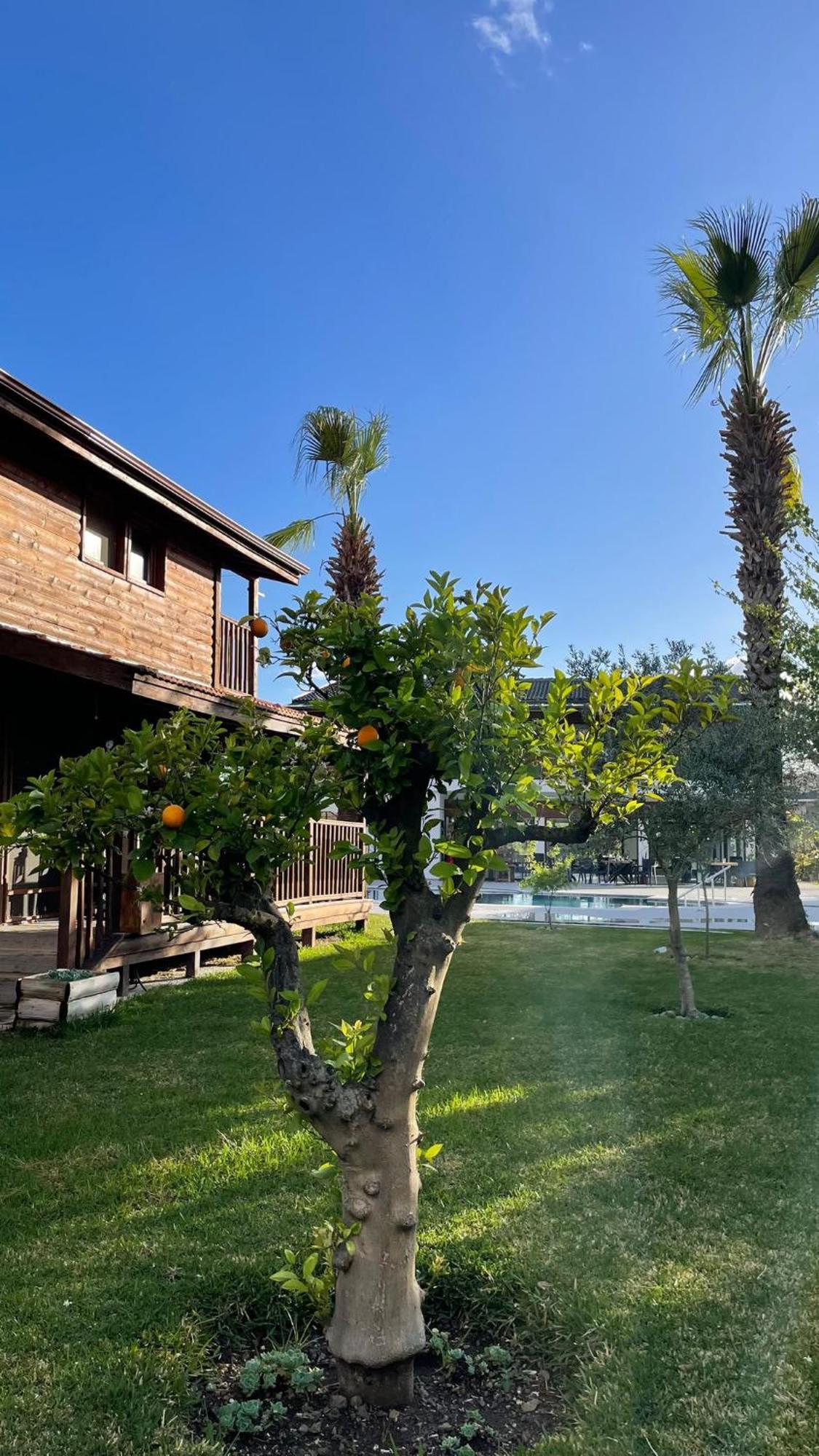 Tatil Evi Defne Olive Gardens, Koca Calis, - Previously Defne