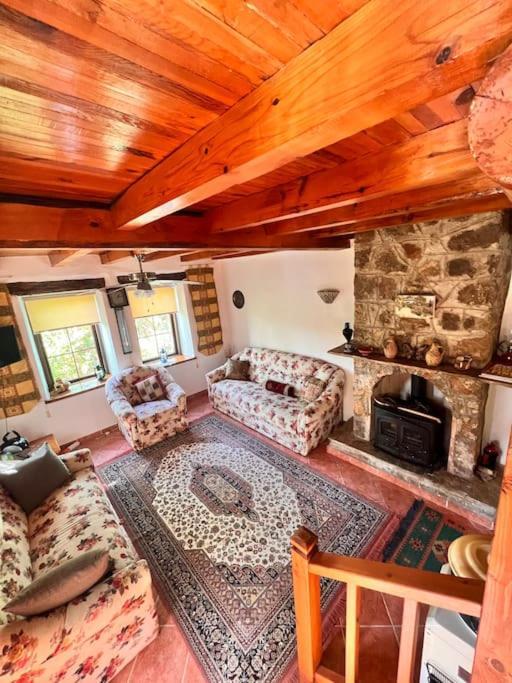 Benzersiz Jakuzili Villa Fethiye