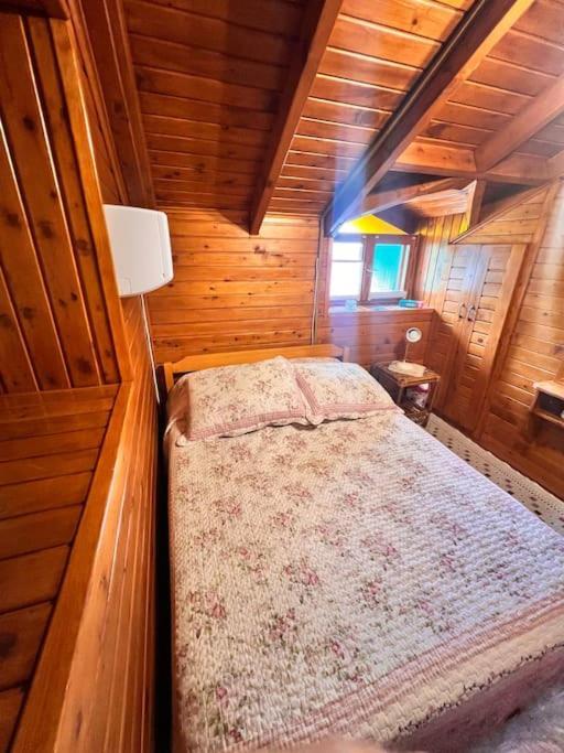 Benzersiz Jakuzili Villa *