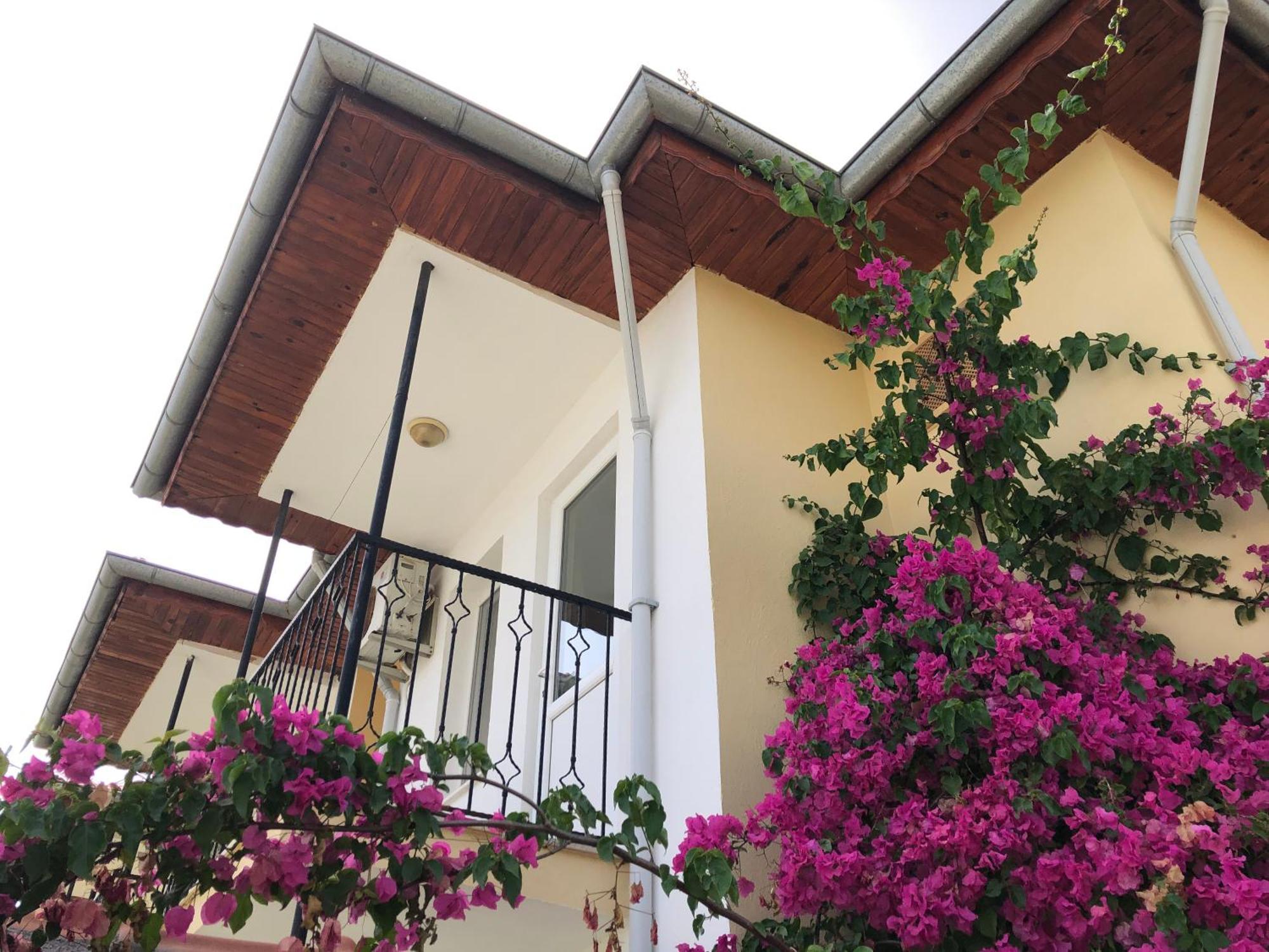 Defne Olive Gardens, Koca Calis, - Previously Defne Tatil Evi *