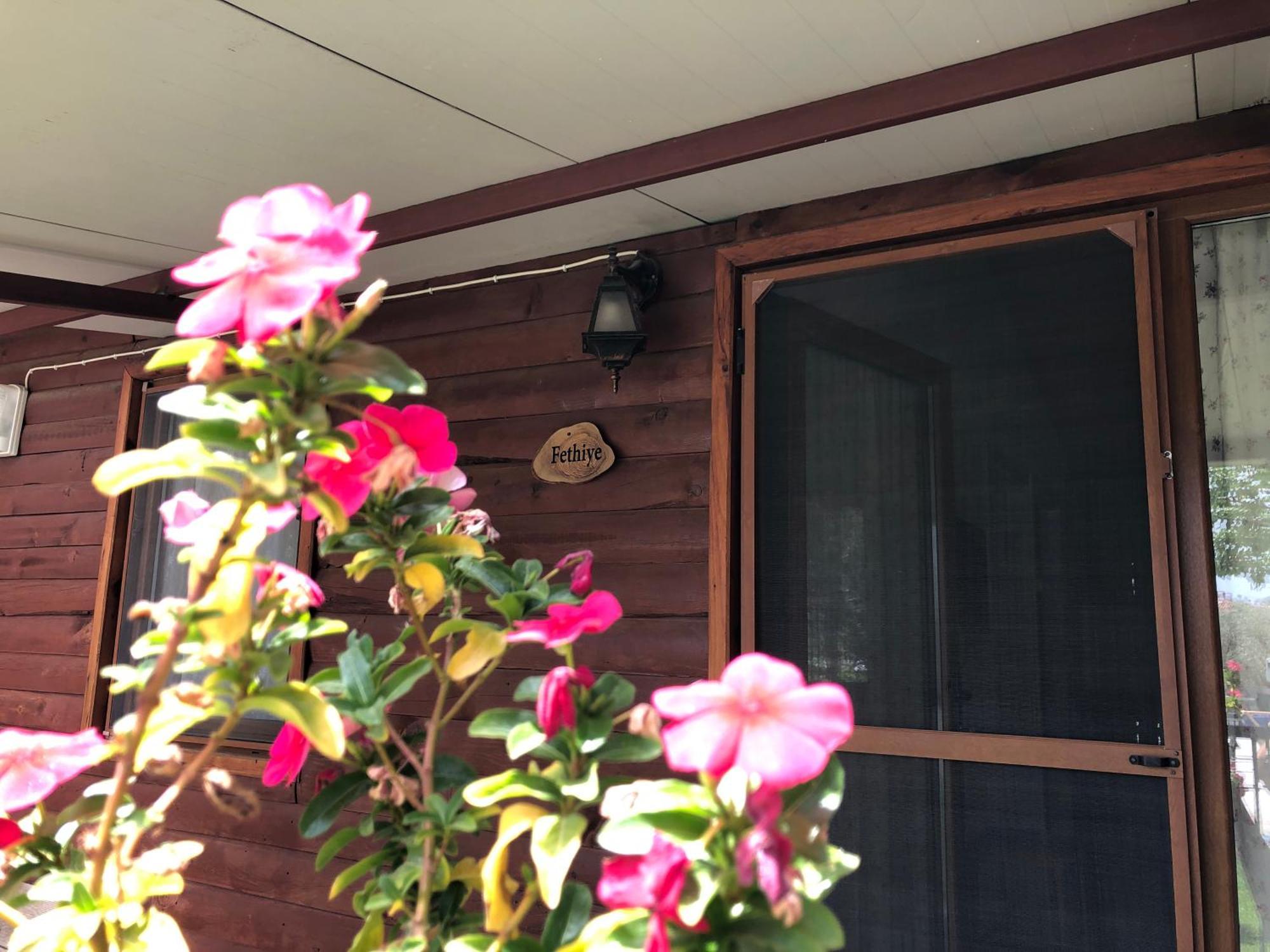 Defne Olive Gardens, Koca Calis, - Previously Defne Fethiye