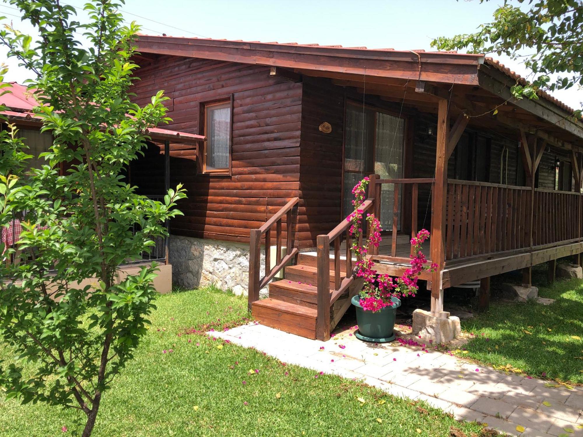 Tatil Evi Defne Olive Gardens, Koca Calis, - Previously Defne *