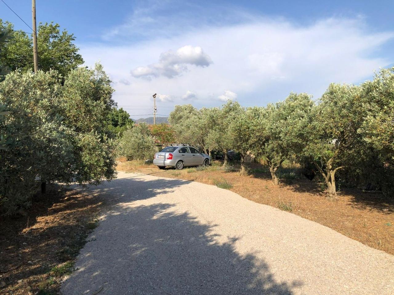 Defne Olive Gardens, Koca Calis, - Previously Defne Tatil Evi Fethiye