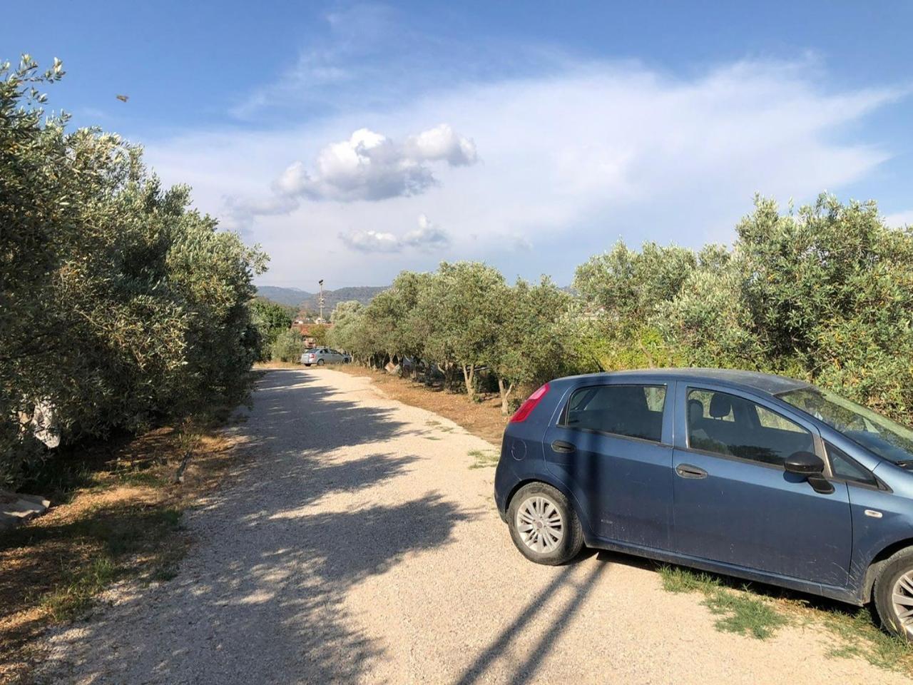 Defne Olive Gardens, Koca Calis, - Previously Defne