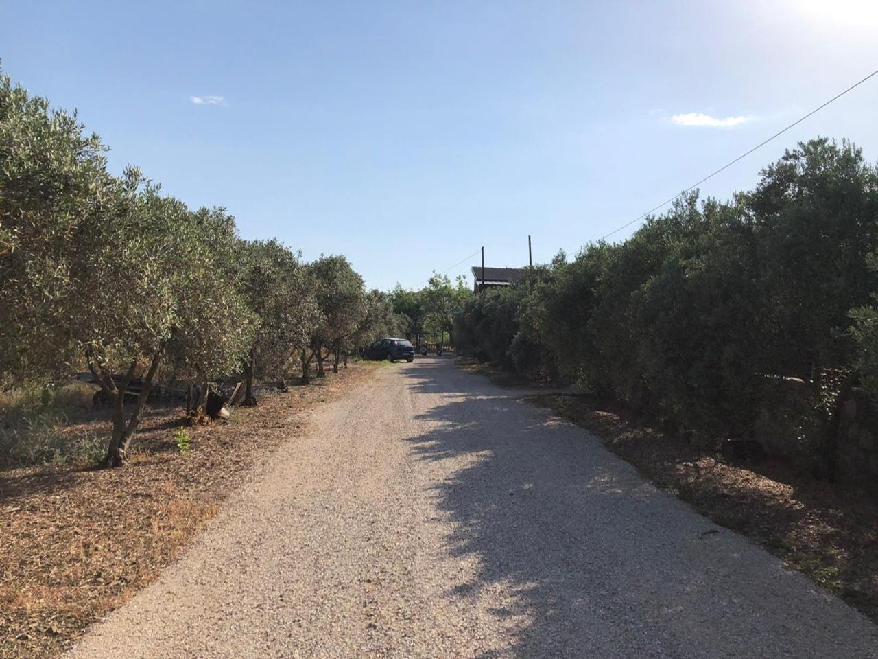 Defne Olive Gardens, Koca Calis, - Previously Defne Tatil Evi