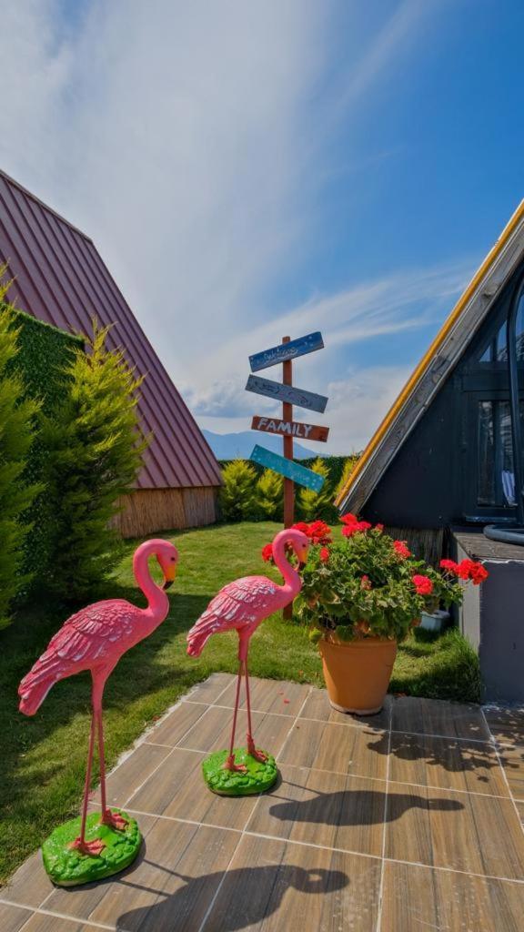 Villa Private I Saklikent 1 *