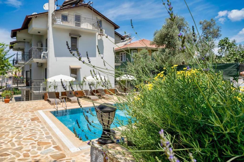 Phedora Lavanta Apartment