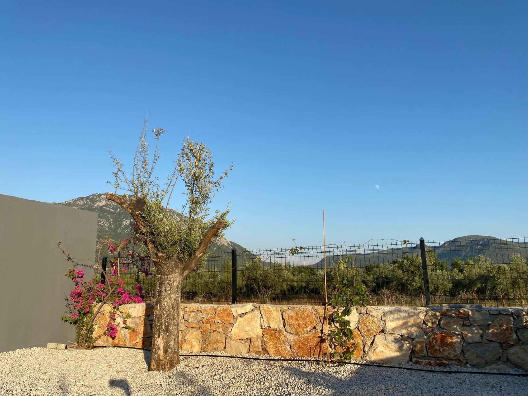 Villa Karpuz Fethiye