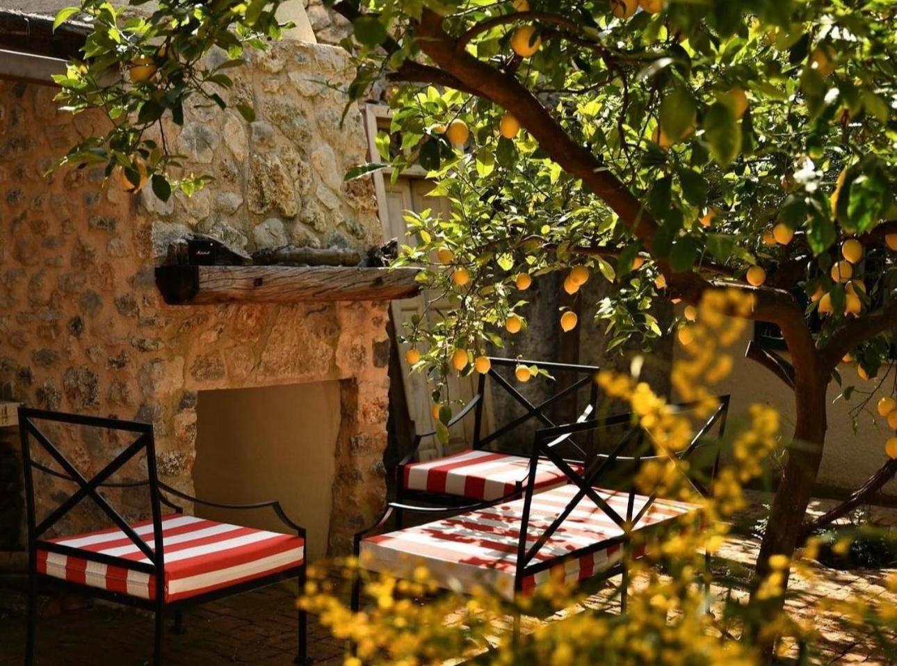 Merian's House Fethiye