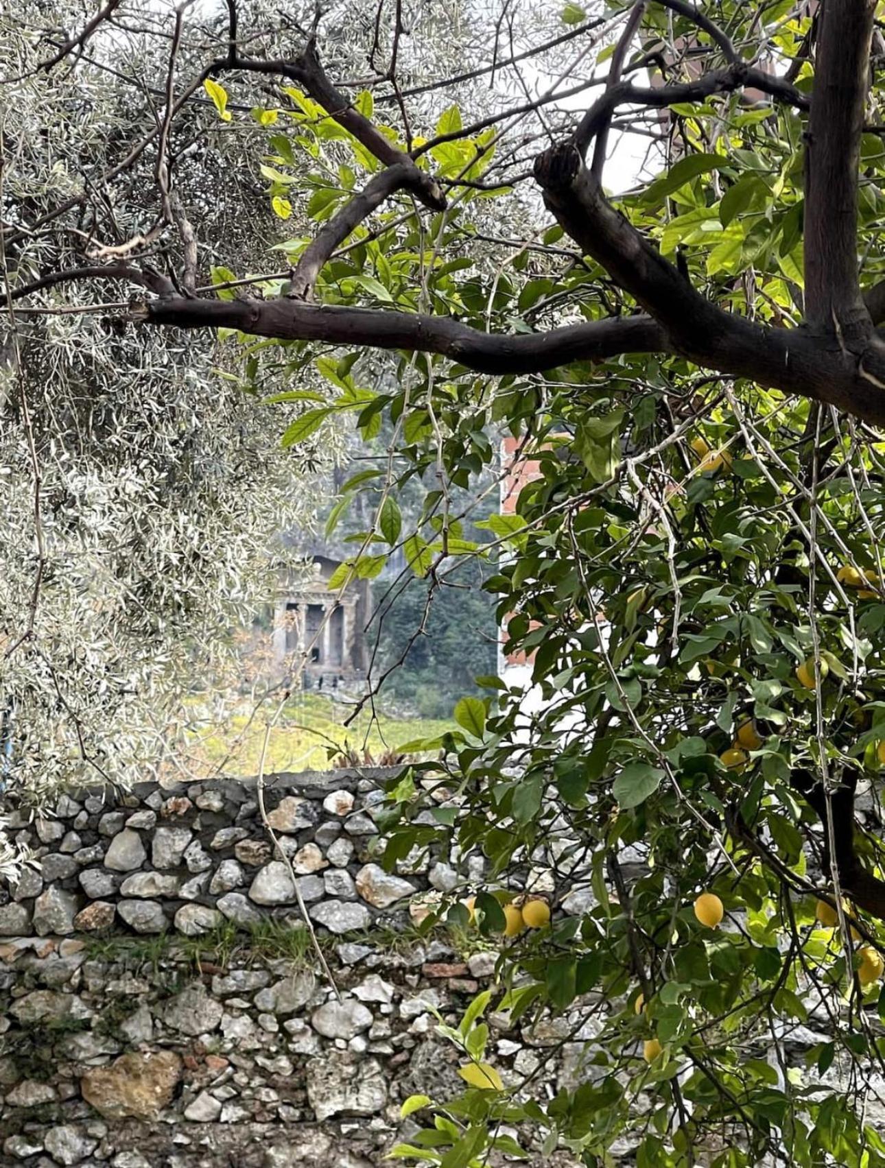 Villa Merian's House