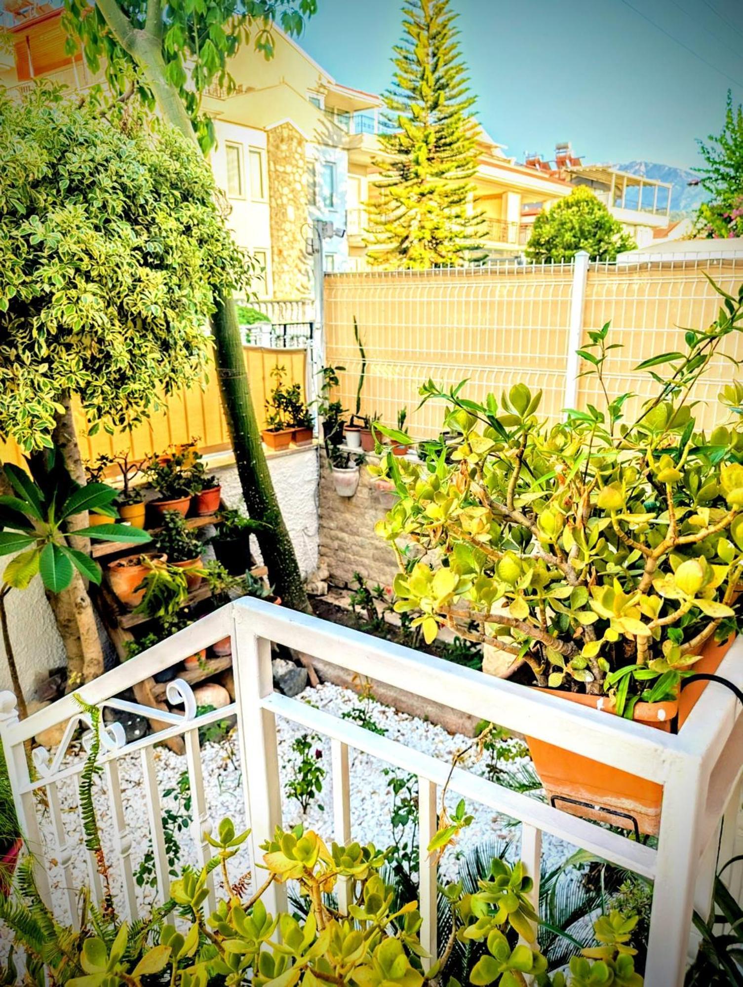 Atlas Villa