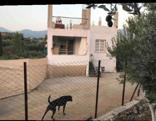 Emirhan 2, Doga Ile Vadi Icinde, Sakinlik *