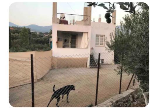 Emirhan 2, Doga Ile Vadi Icinde, Sakinlik * Fethiye
