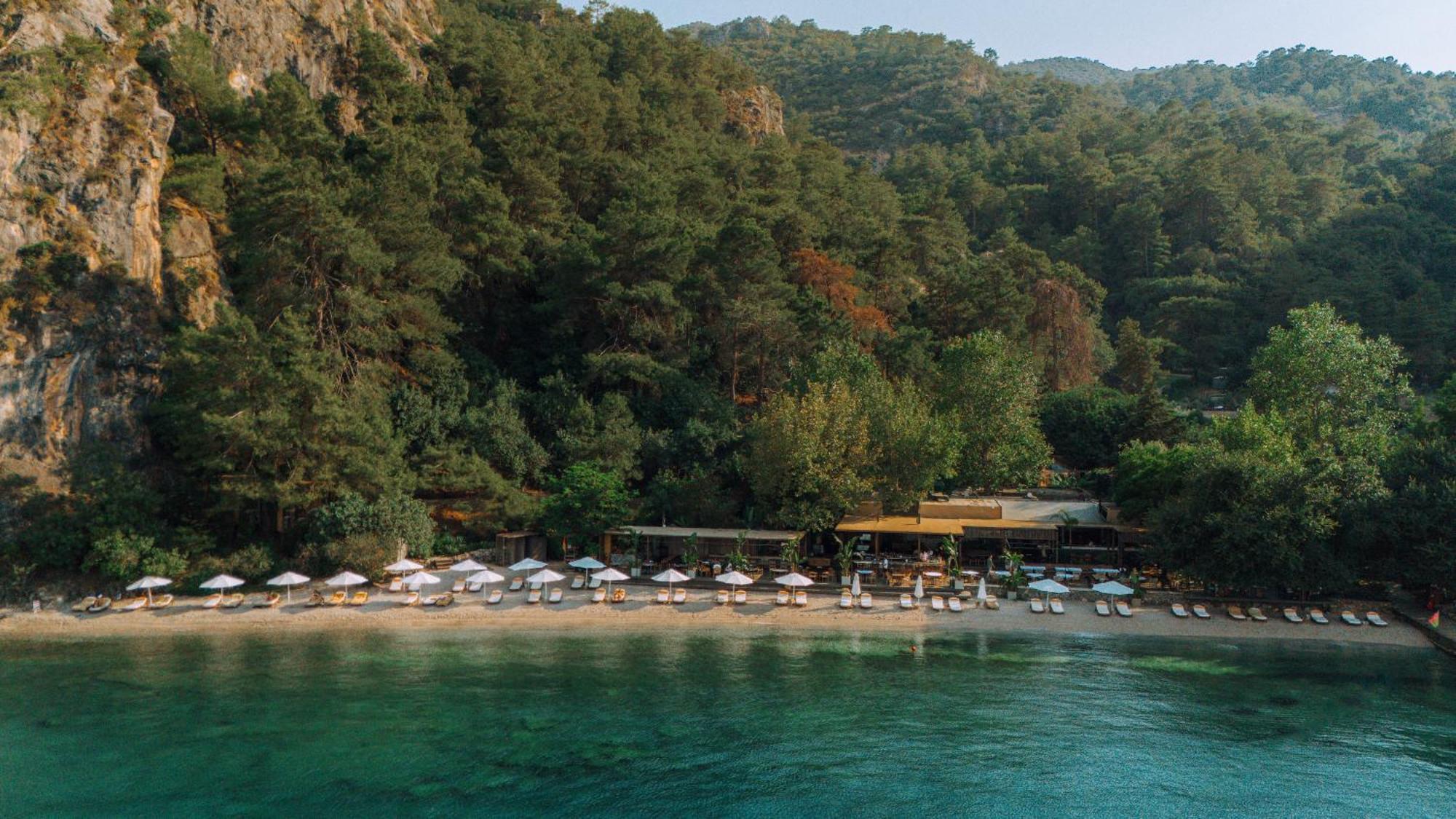 Yazz Collective Hotel