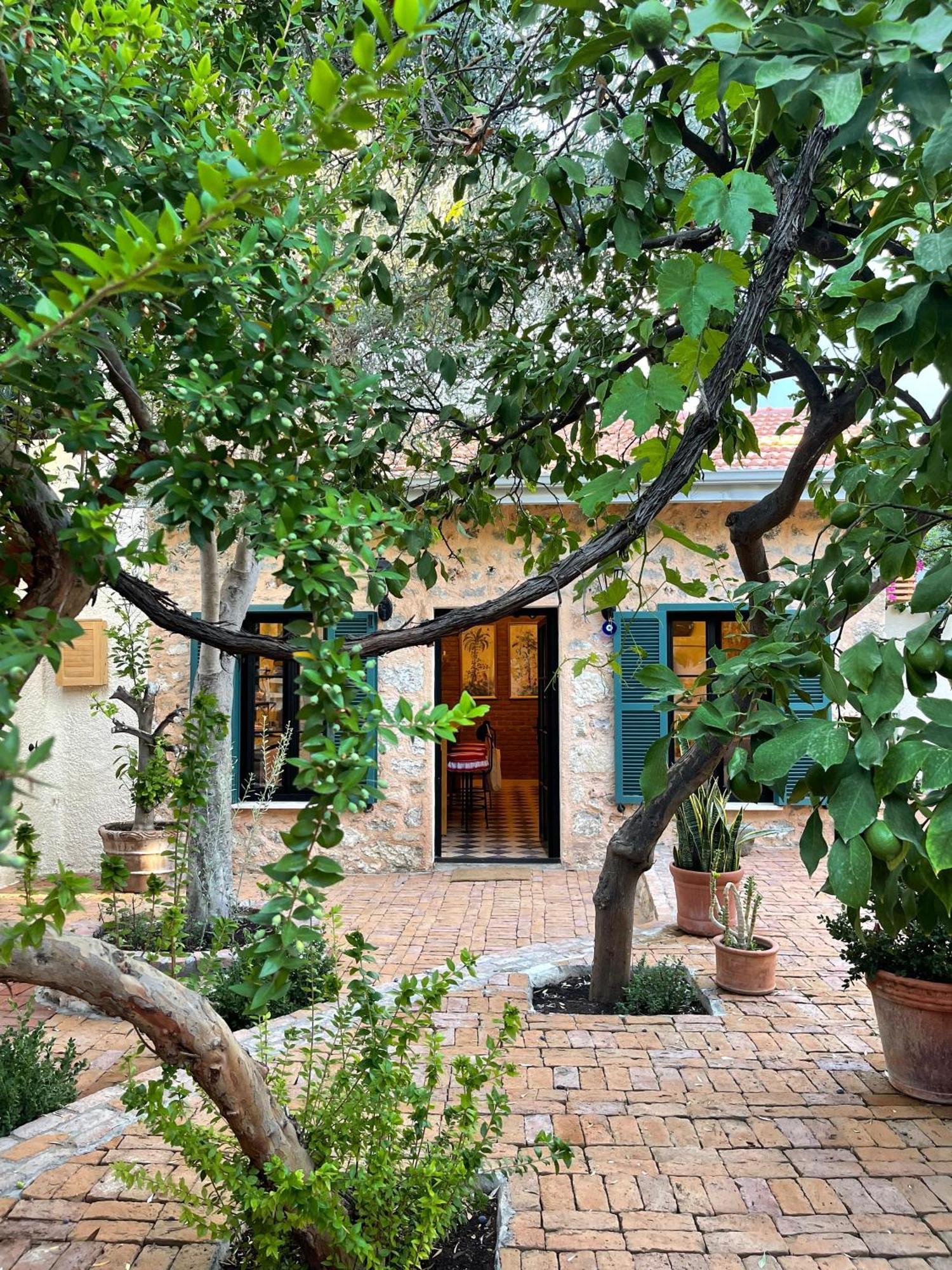 Villa Merian's House