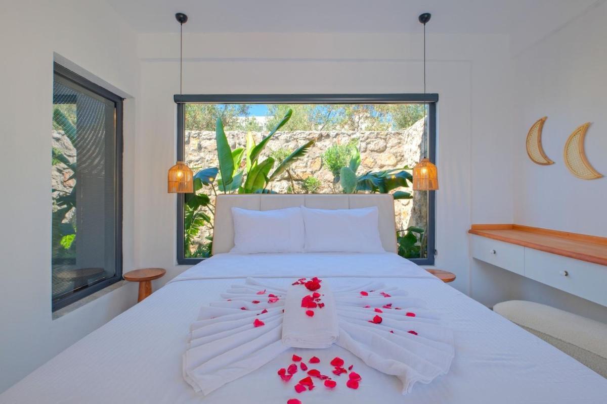 Lemonya Villa *