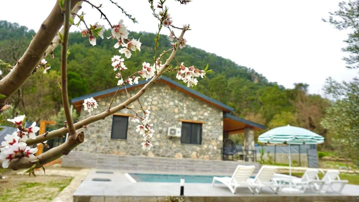 Tas Gonca Villa *