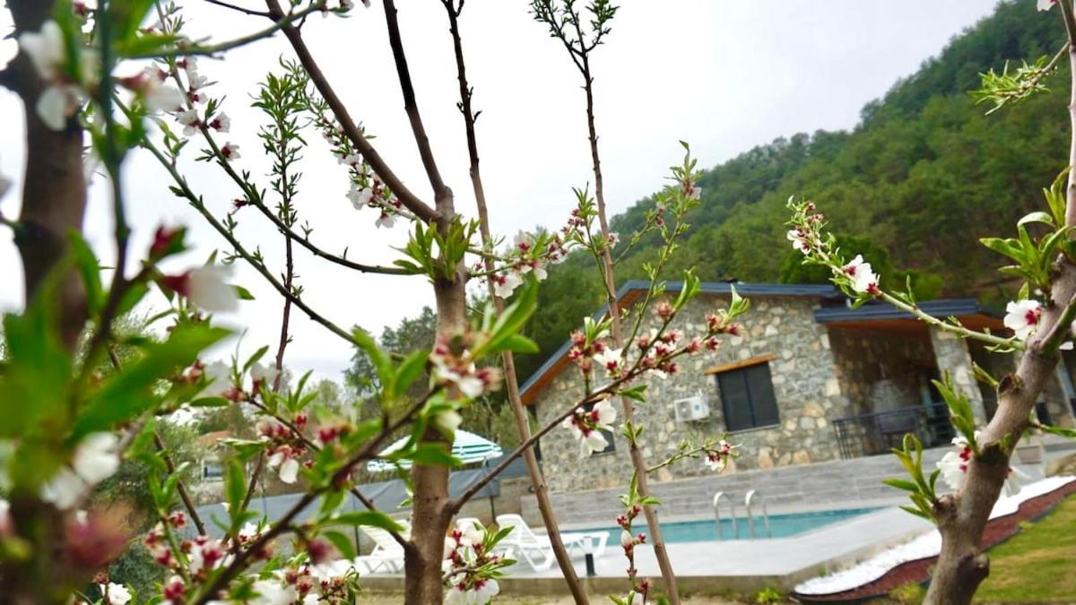 Tas Gonca Villa