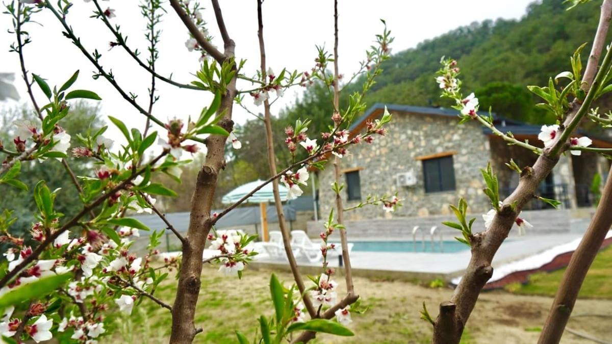 Villa Tas Gonca