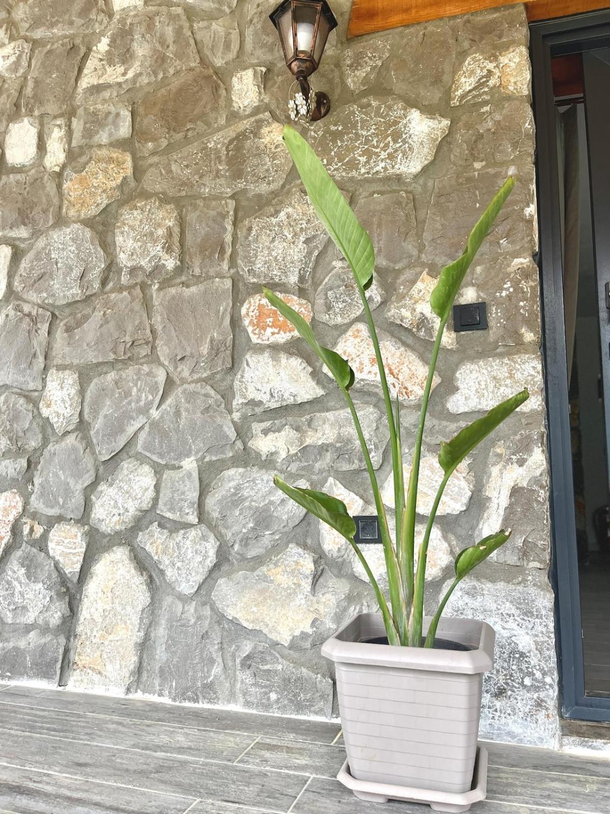 Tas Gonca Villa Fethiye