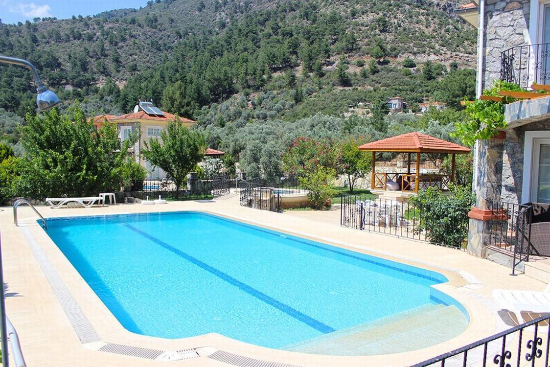 Elwyn * Fethiye