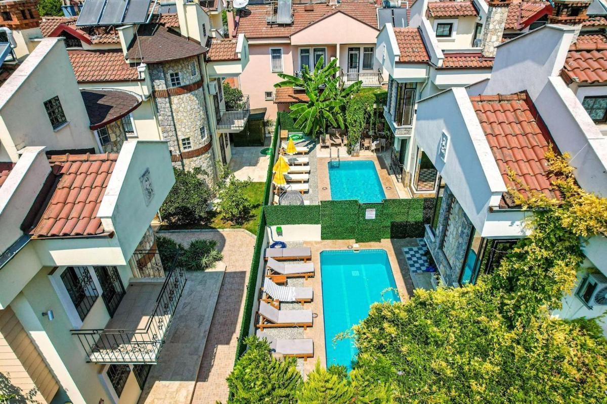 Gelincik, * Fethiye