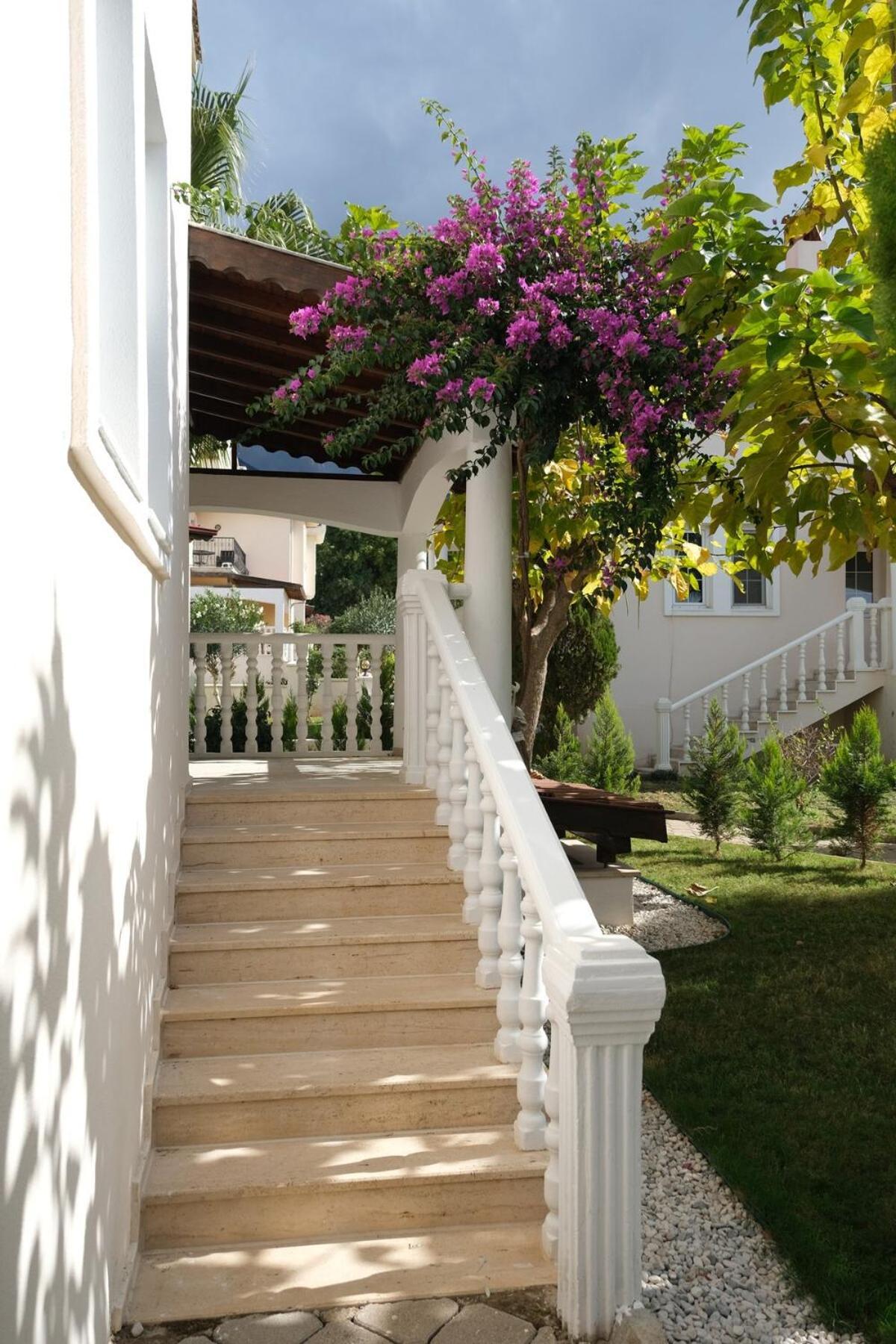 Begonvil, Oludeniz *