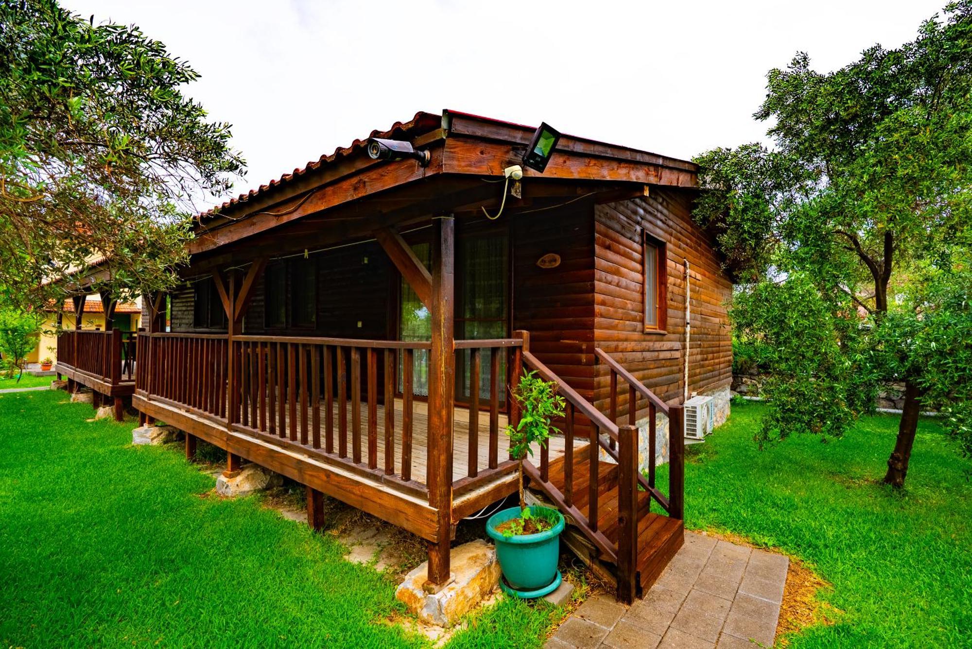 Vakantiehuis Defne Olive Gardens, Koca Calis, - Previously Defne *