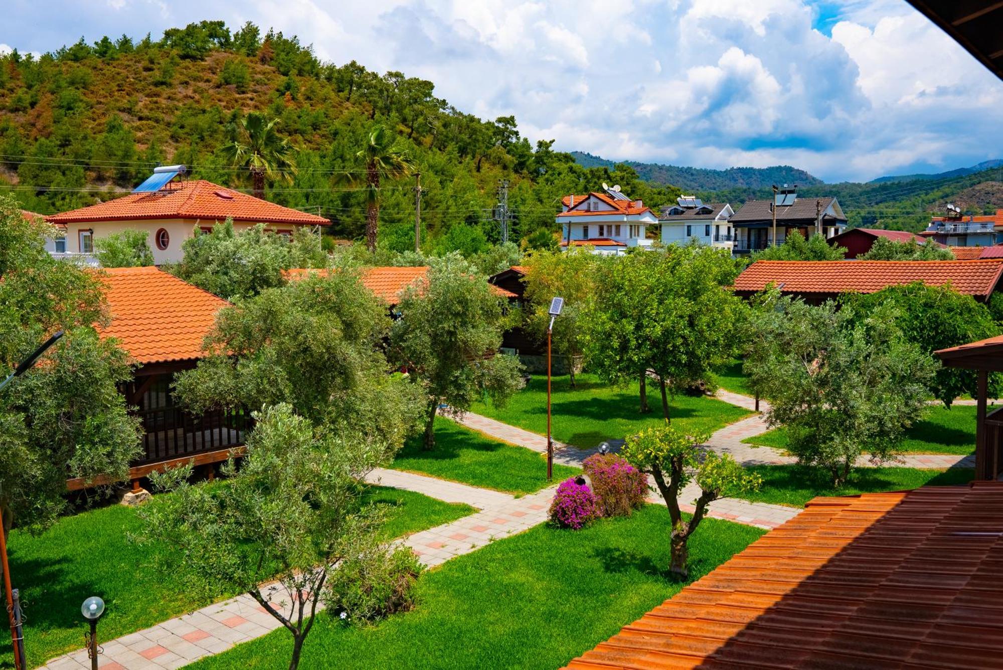 Defne Olive Gardens, Koca Calis, - Previously Defne Vakantiehuis Fethiye