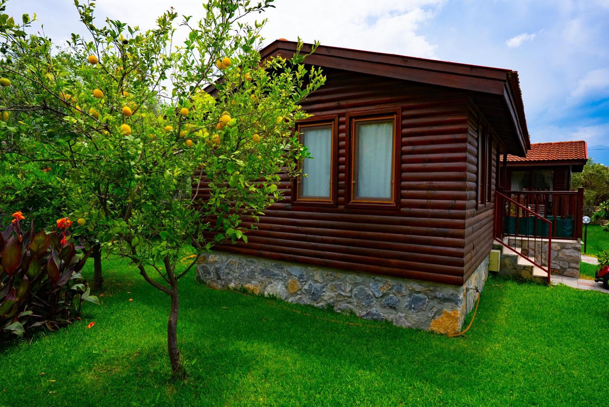 Defne Olive Gardens, Koca Calis, - Previously Defne Vakantiehuis *