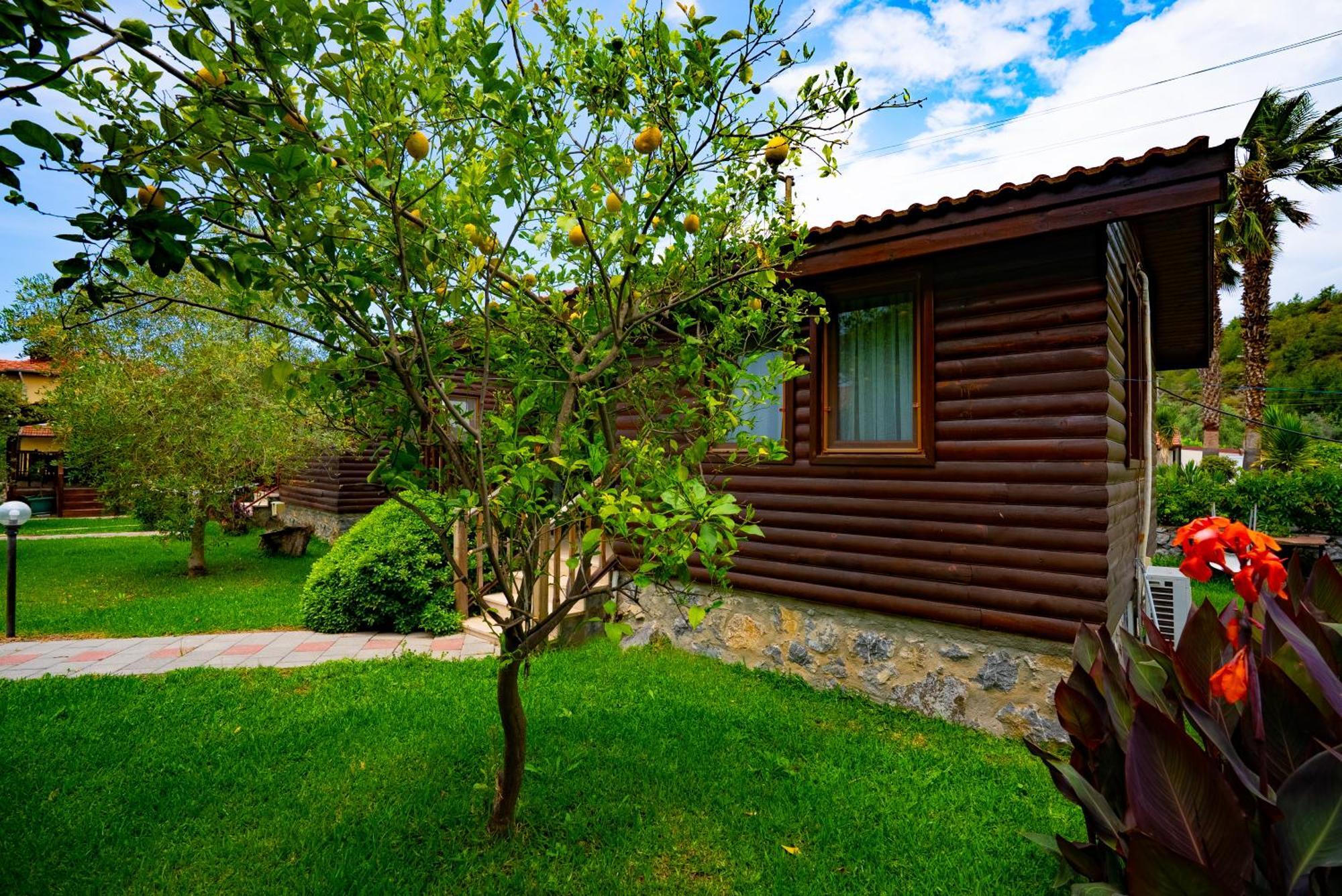 Vakantiehuis Defne Olive Gardens, Koca Calis, - Previously Defne Fethiye