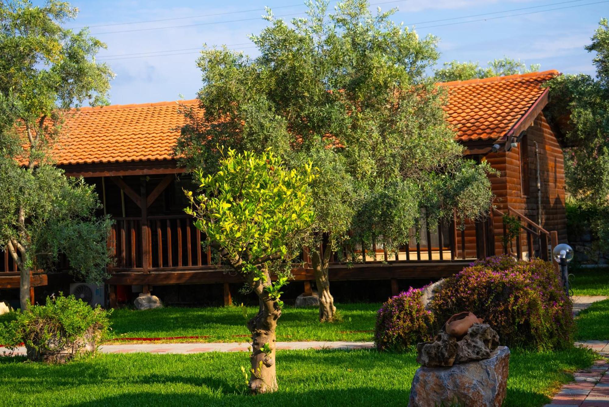 Vakantiehuis Defne Olive Gardens, Koca Calis, - Previously Defne *