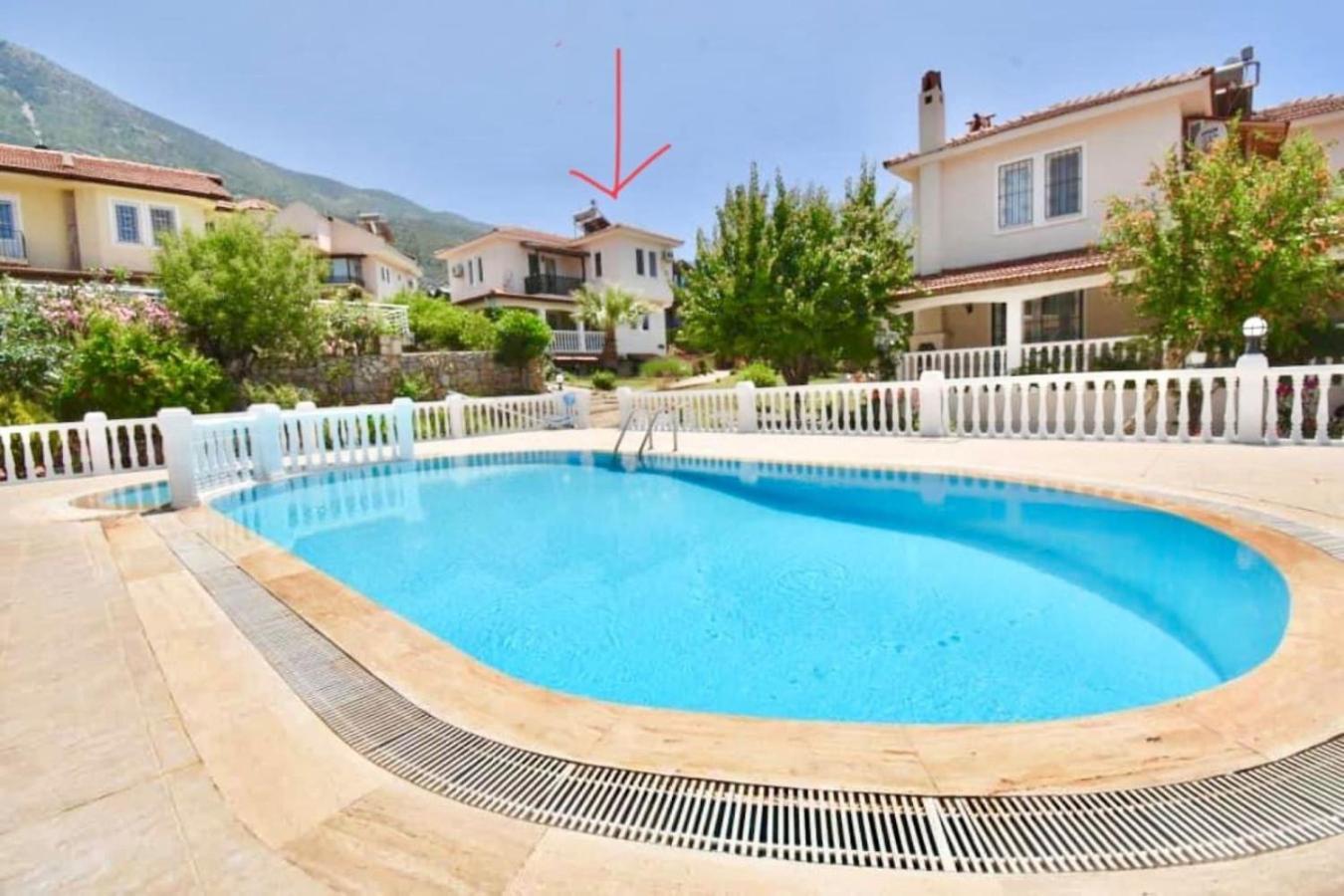 Willow Tree C 3 Nelson *