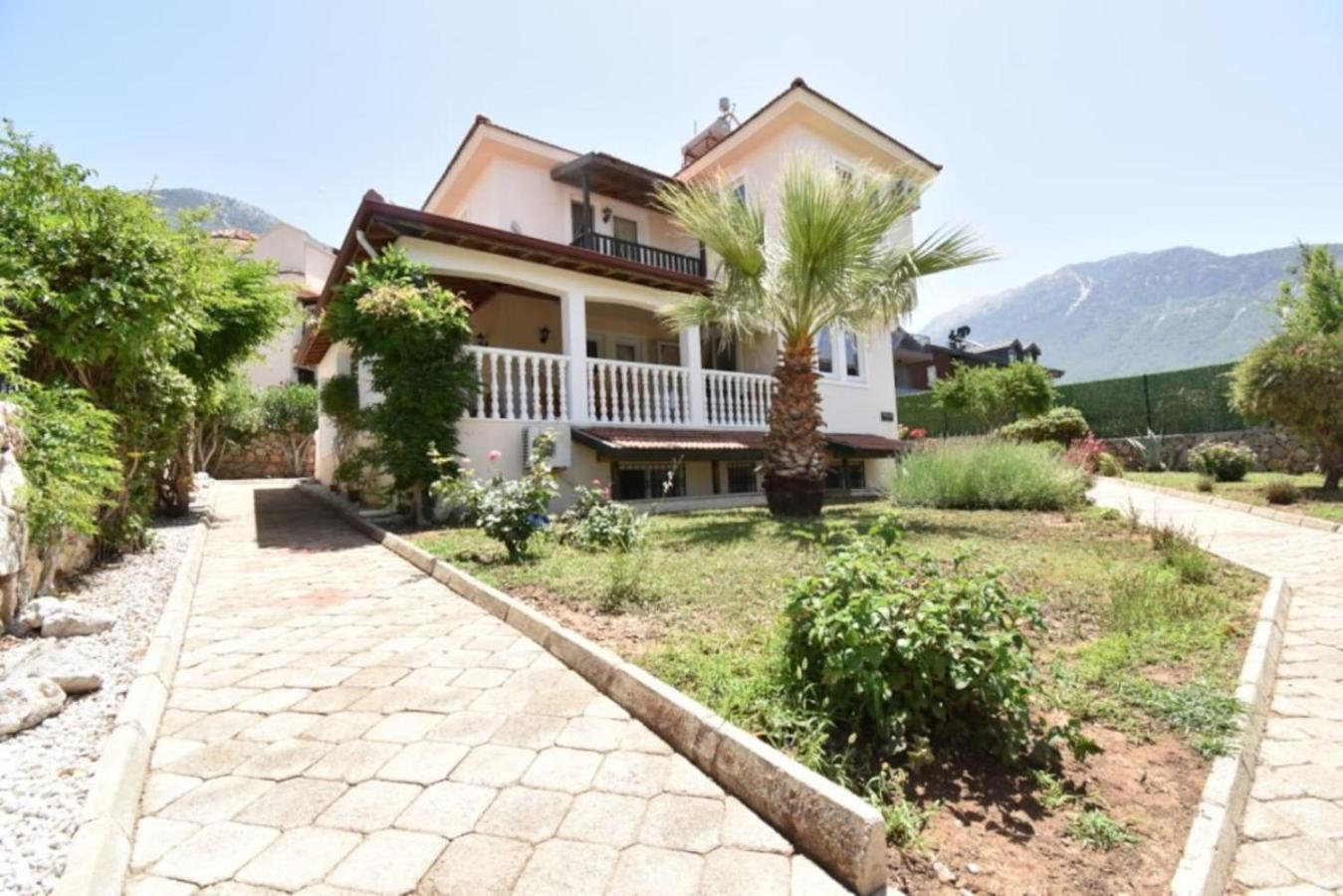 Willow Tree C 3 Nelson * Fethiye