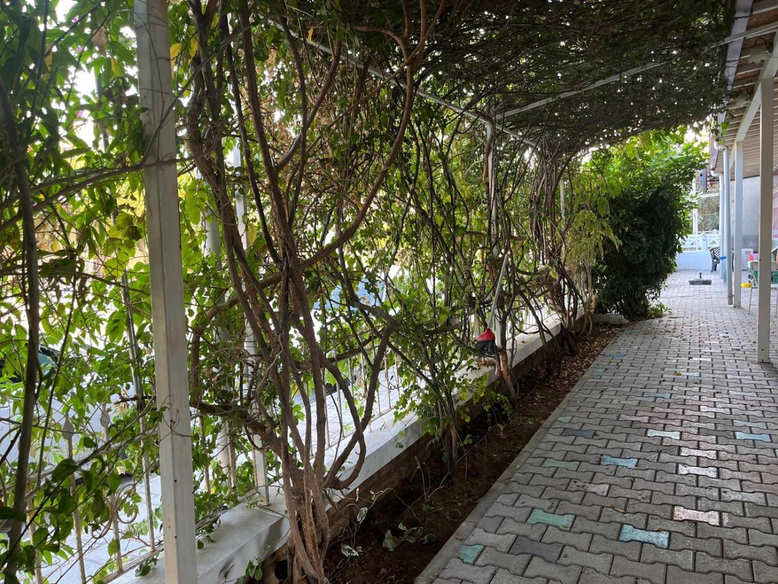 Aparthotel Begonvil Garden *